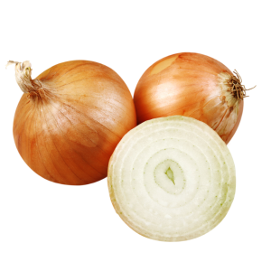 Onion