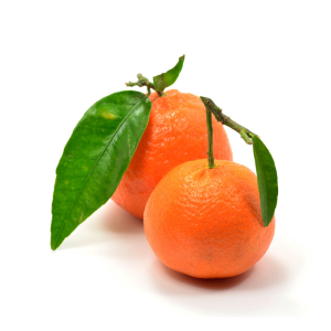 Nour Clementine